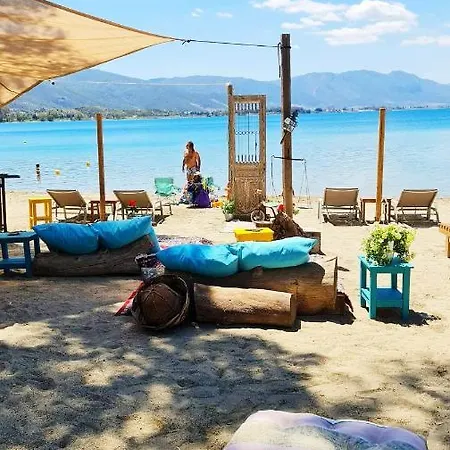 Summer Feel
